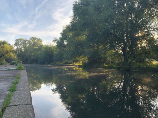 Mist over the river Cam, September 2019. Photo by Jessica Zarins